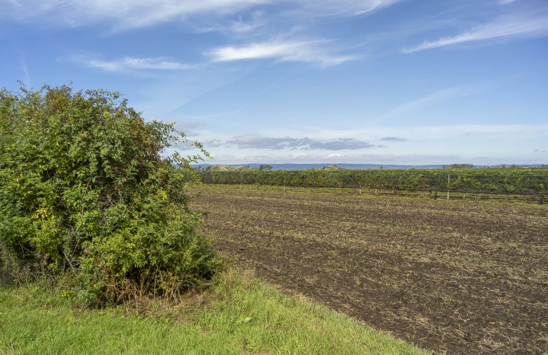 Acreage Clearing in Katy, TX