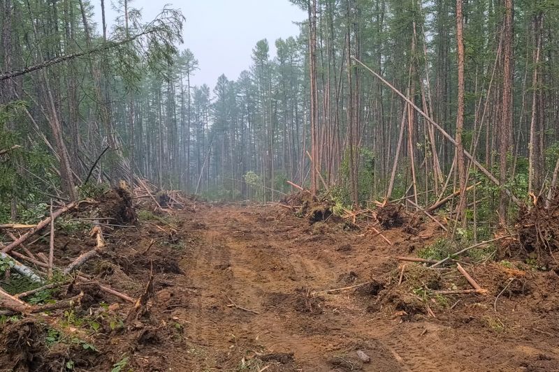 Hill Clearing in Katy, TX