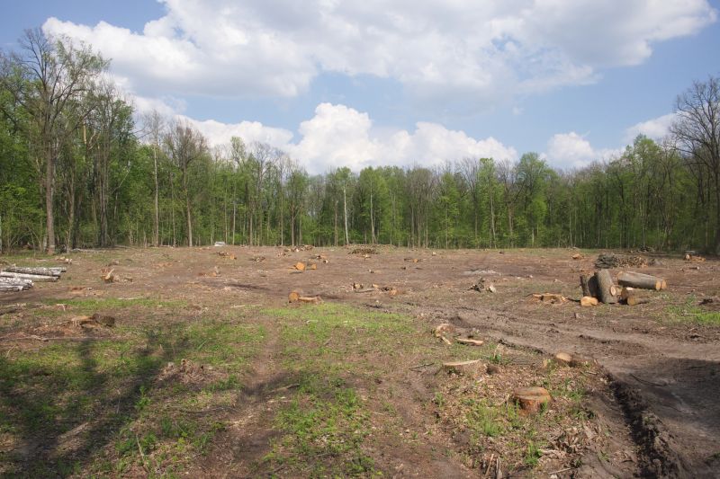 Land Clearing in Marietta, GA