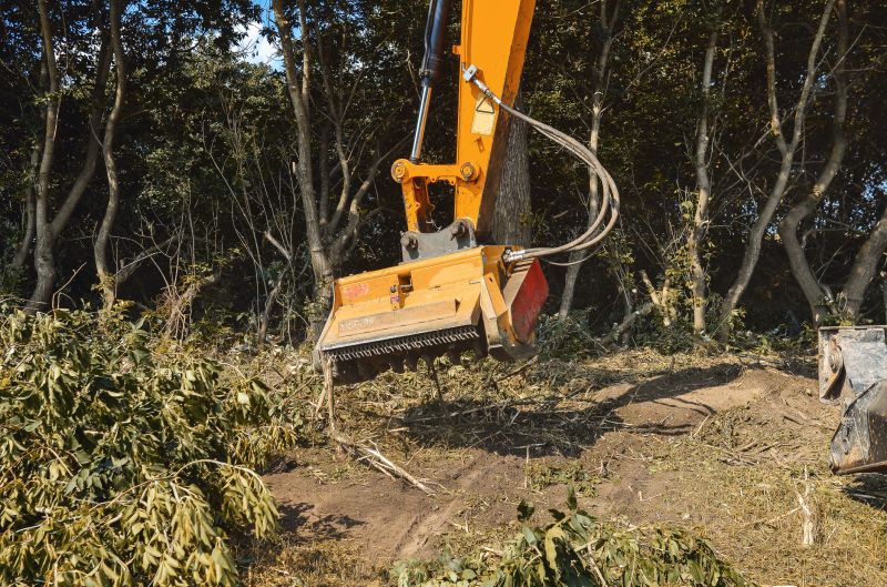 Brush Clearing Service in Salt Lake City, UT