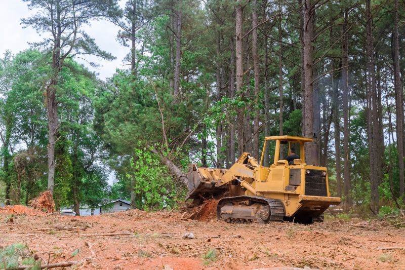 Bulldozer Clearing in Katy, TX