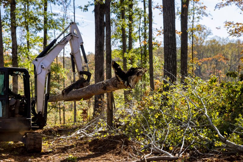 Construction Site Land Clearing in Katy, TX