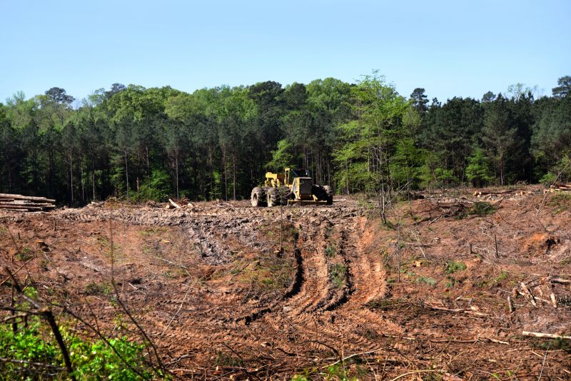 Farm Clearing in Atlanta, GA