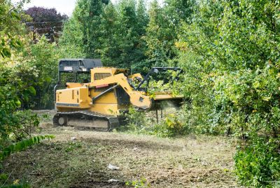 Ground Clearing in Katy, TX