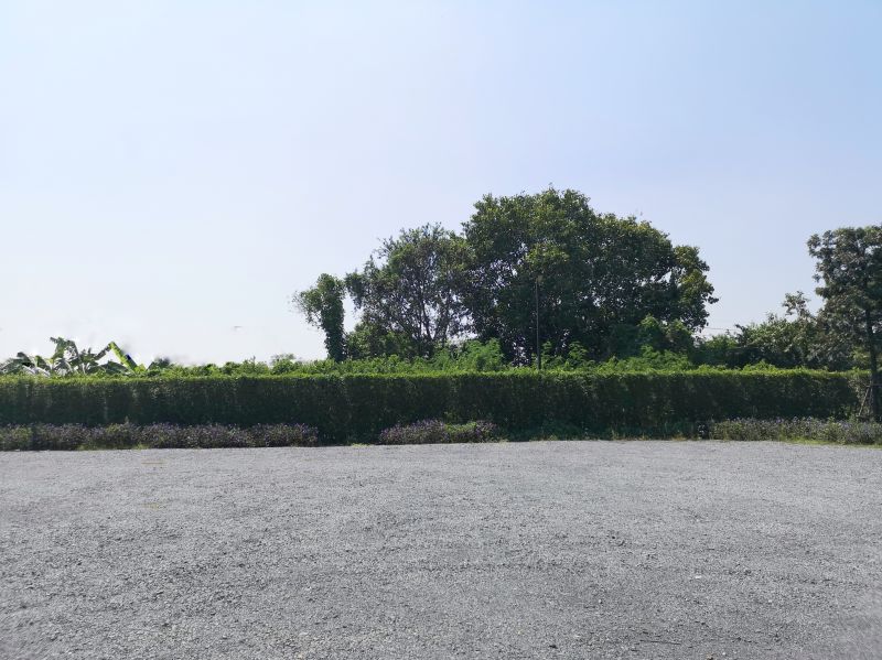 Lot Grading in Houston, TX