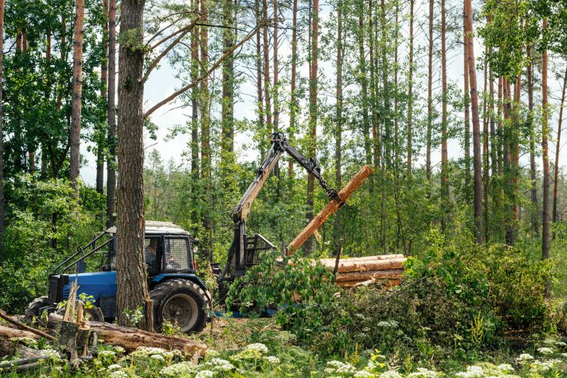 Pine Tree Clearing in Atlanta, GA