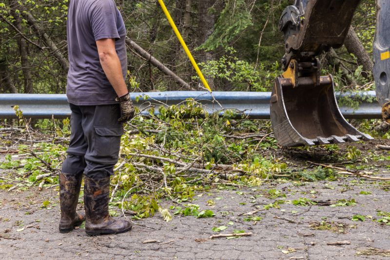Site Clearing Service in Atlanta, GA
