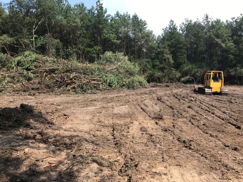 Thicket Clearing in Katy, TX