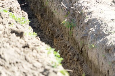 Quick Maintenance Habit